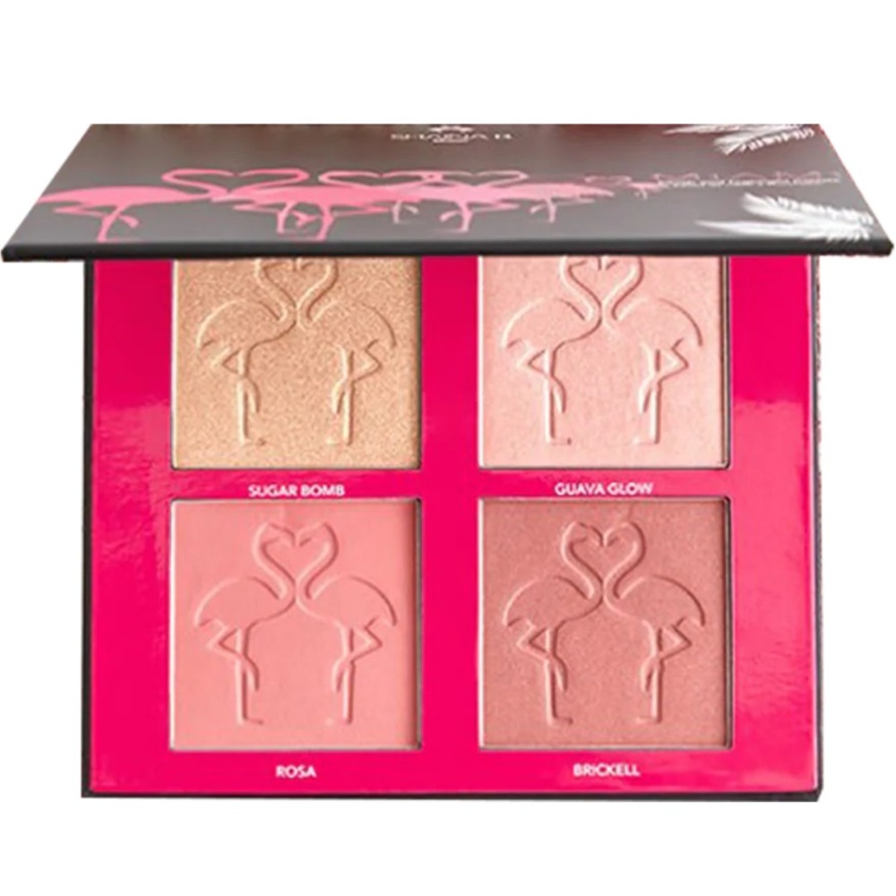 Shaina B. Miami Blush and Highlight Mini Palette, 6.5 inch